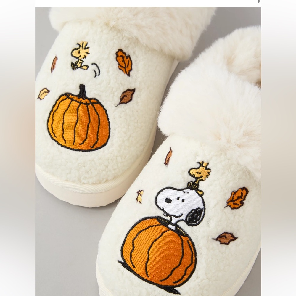 AE Fall Peanuts Slippers